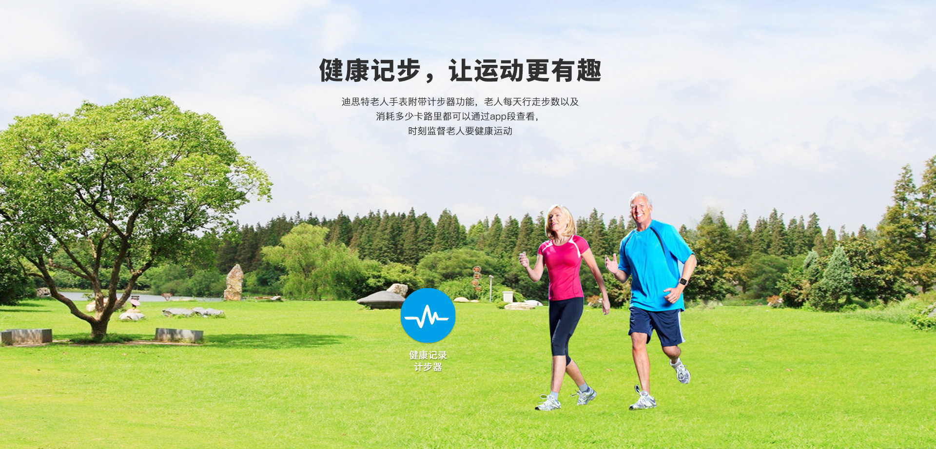 迪思特99详情页官网_06.jpg