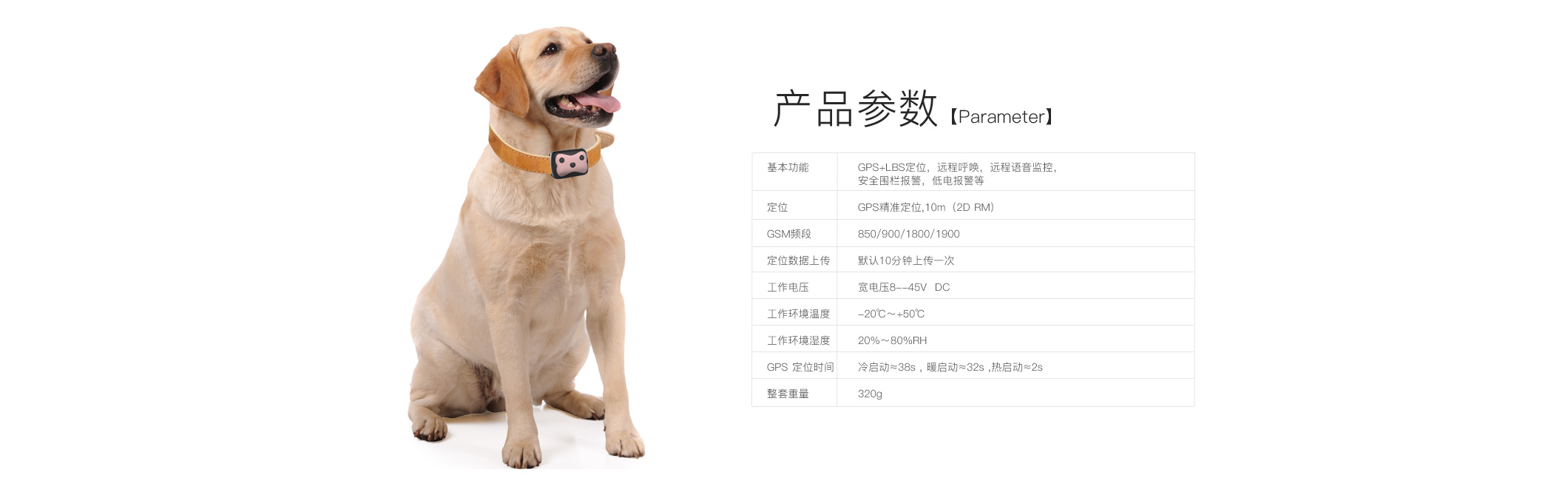 宠物Deest69英文_03.jpg