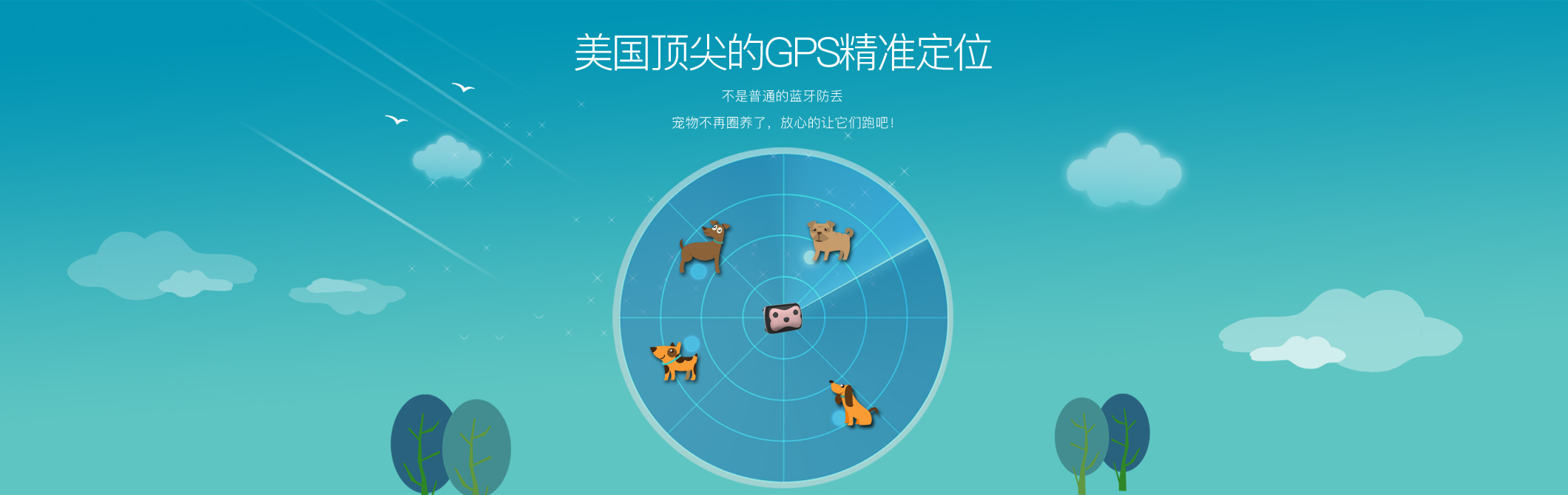 宠物Deest69英文_04.jpg