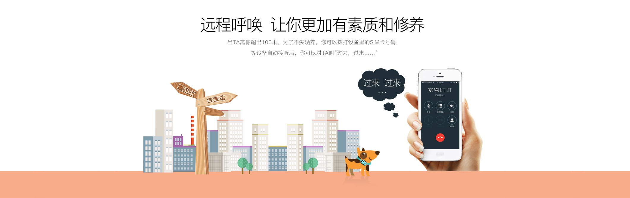 宠物Deest69英文_05.jpg