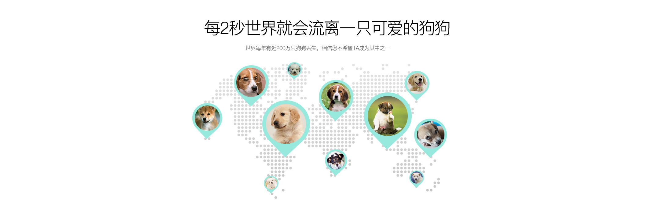 宠物Deest69英文_06.jpg