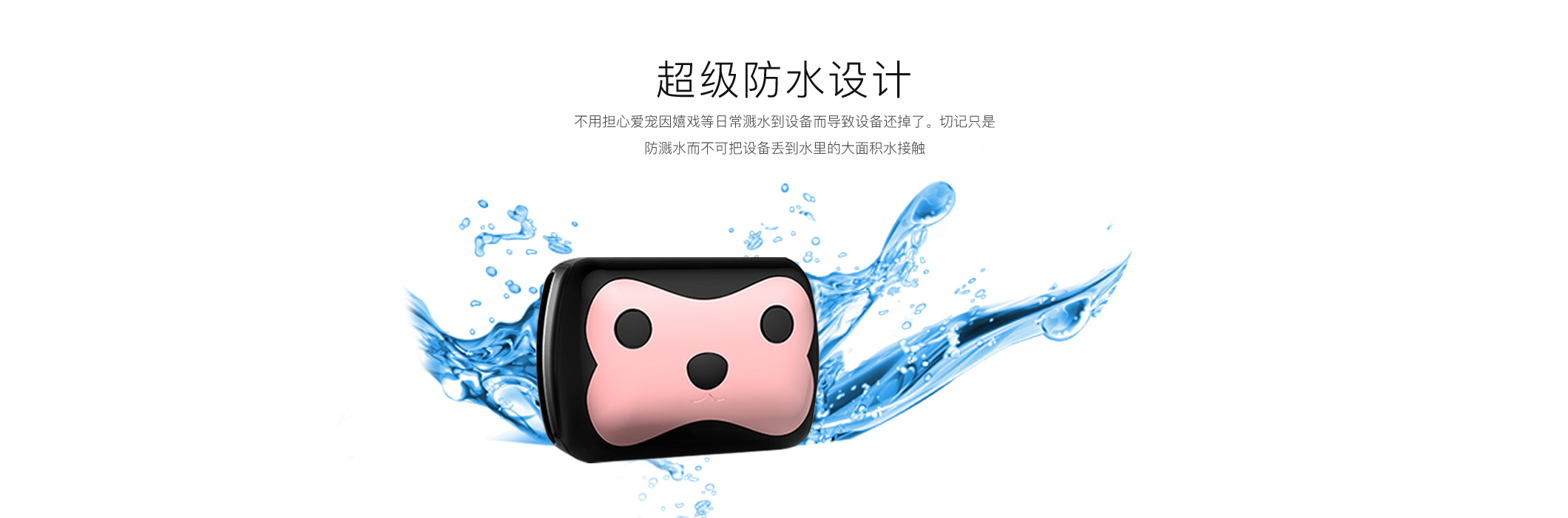 宠物Deest69英文_08.jpg
