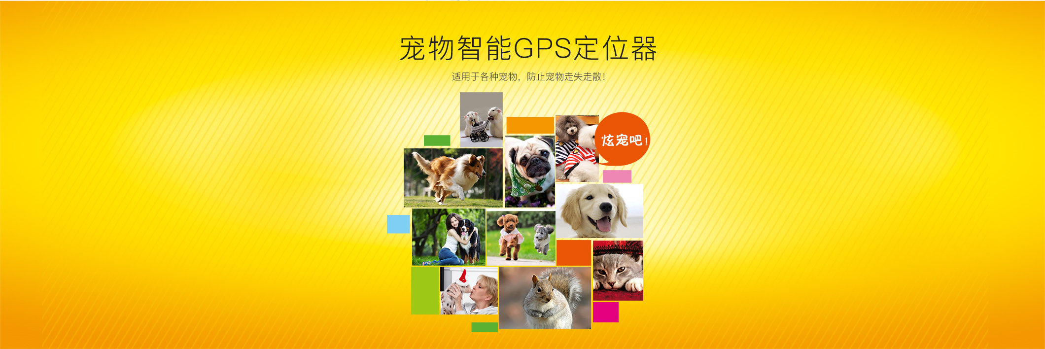 宠物Deest69英文_09.jpg